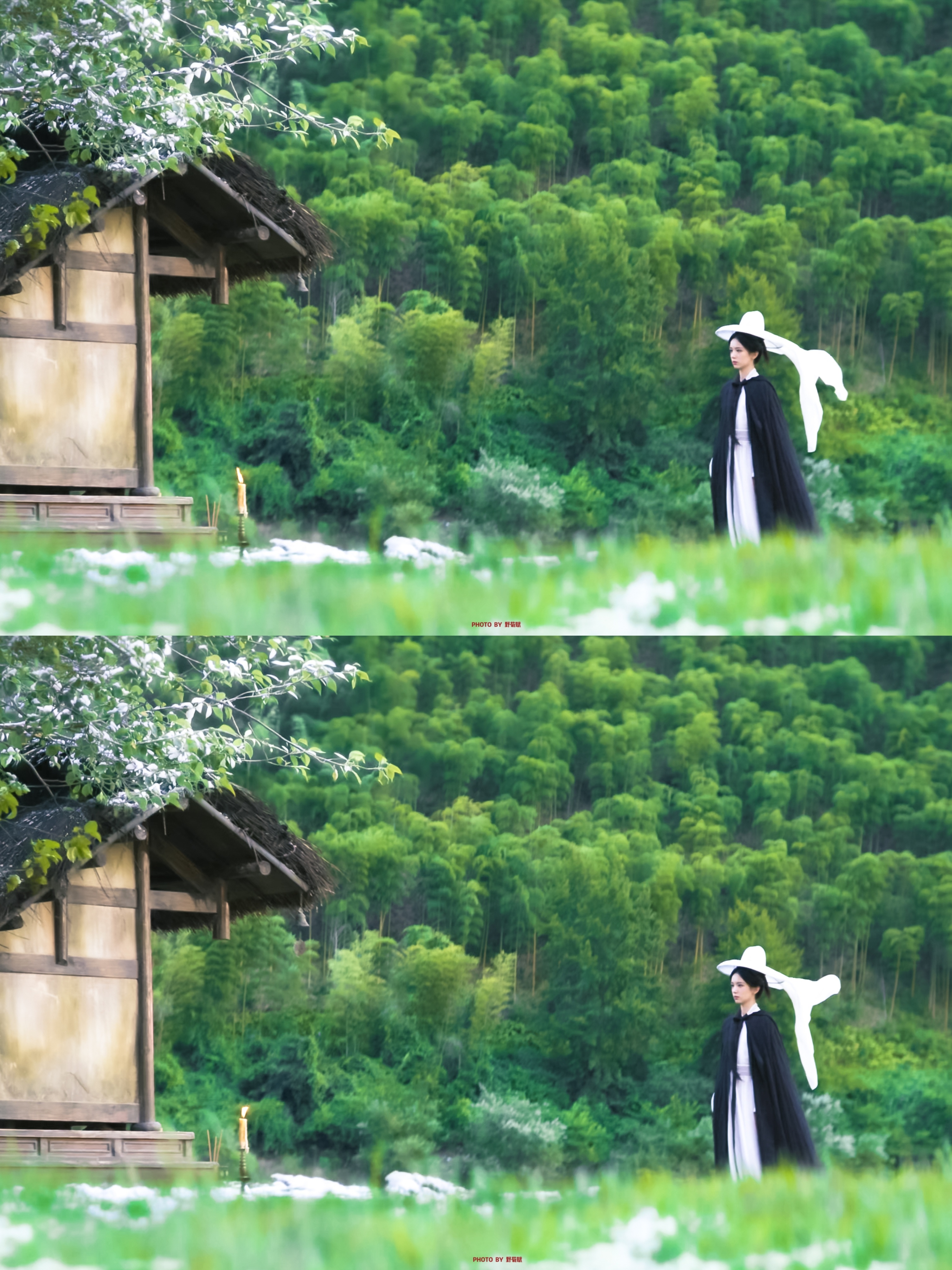 一瓯春 周也 / 陈云芽🎋 ​​​