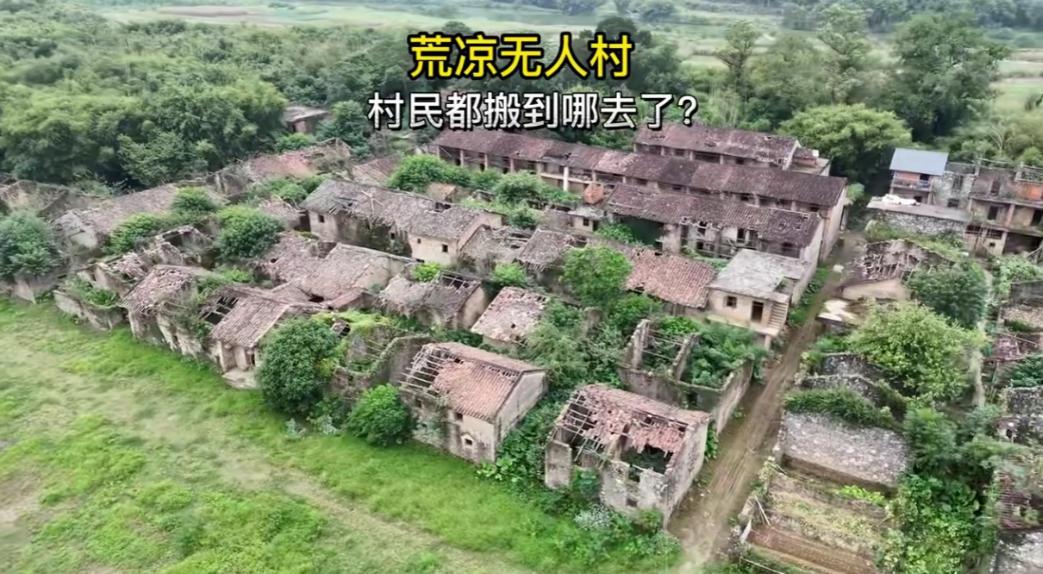 可以大胆的推测，20年之后，全国大部分农村都可能只剩下50后，60后和70后，会