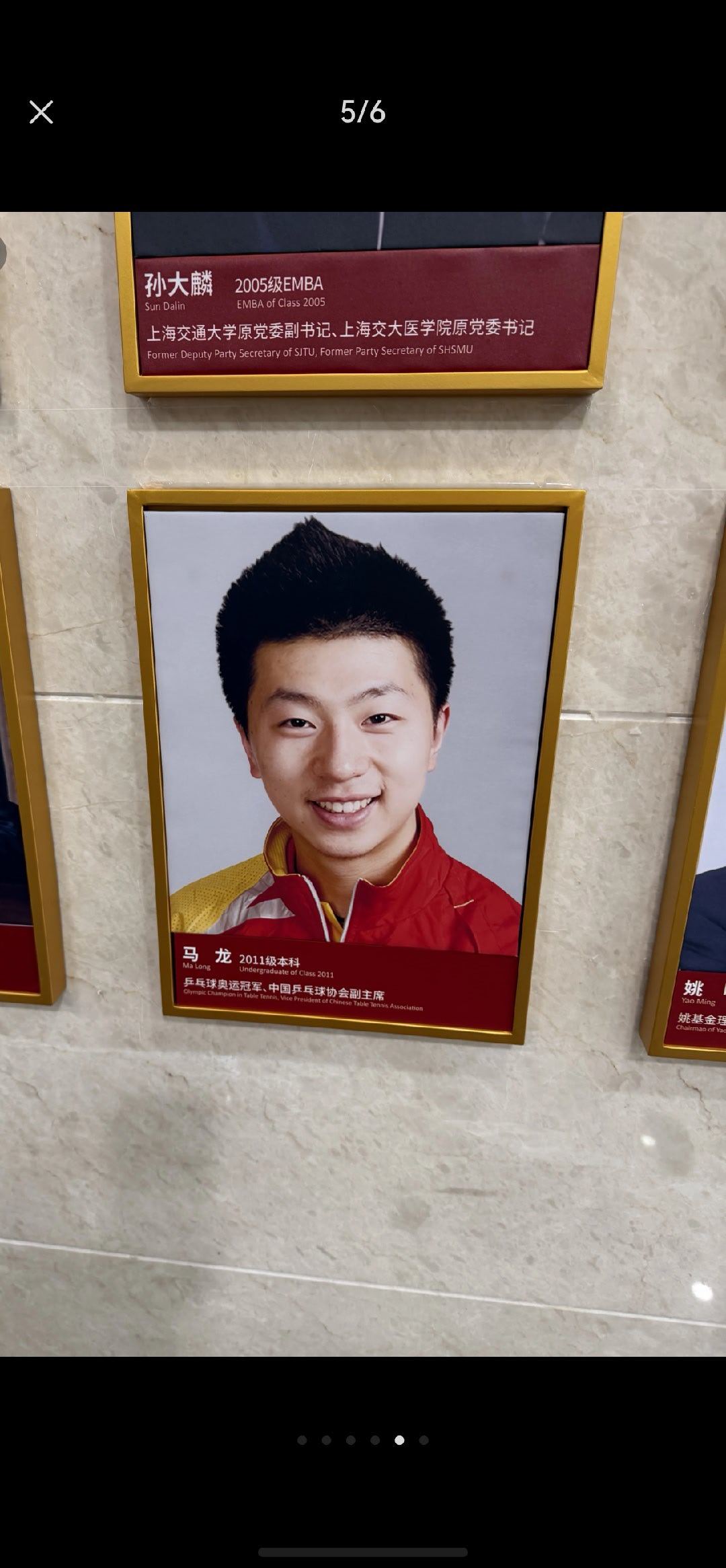 交大里挂的照片就是一颗栗子蛋。 