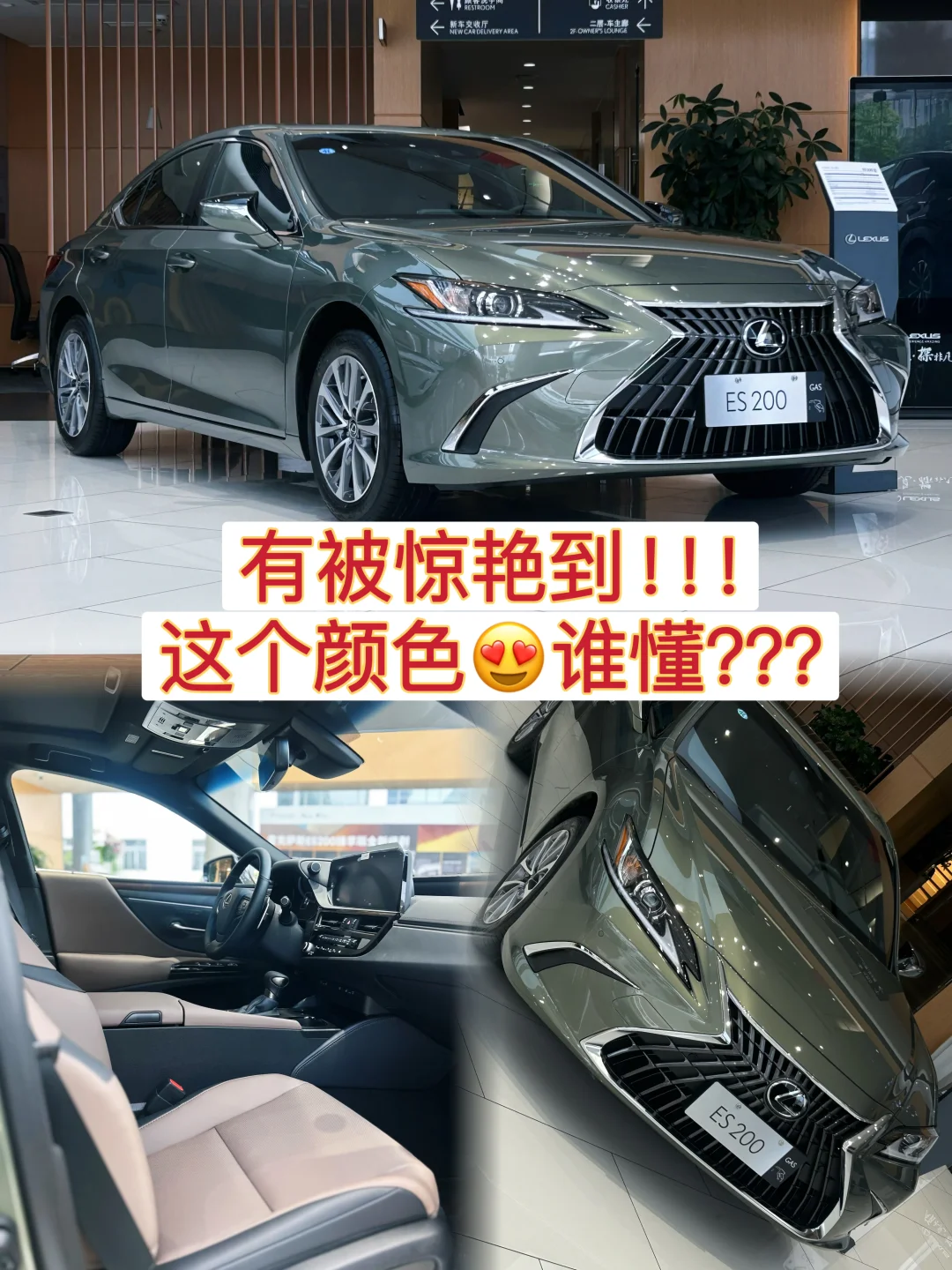 有被惊艳到，这个颜色！谁懂！！！！