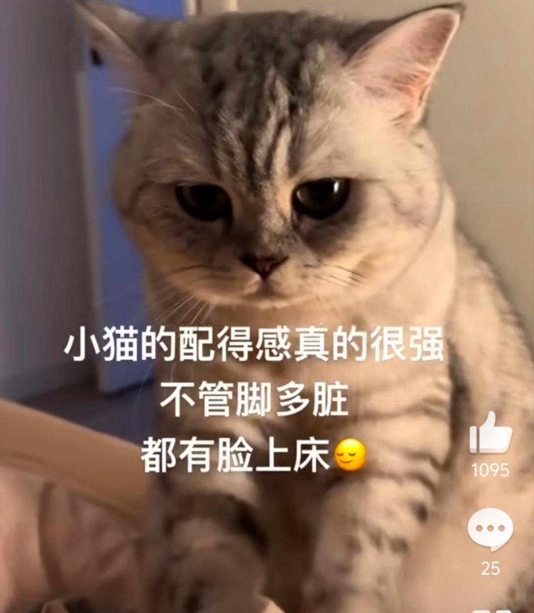 这是把脚用被子擦一擦吗