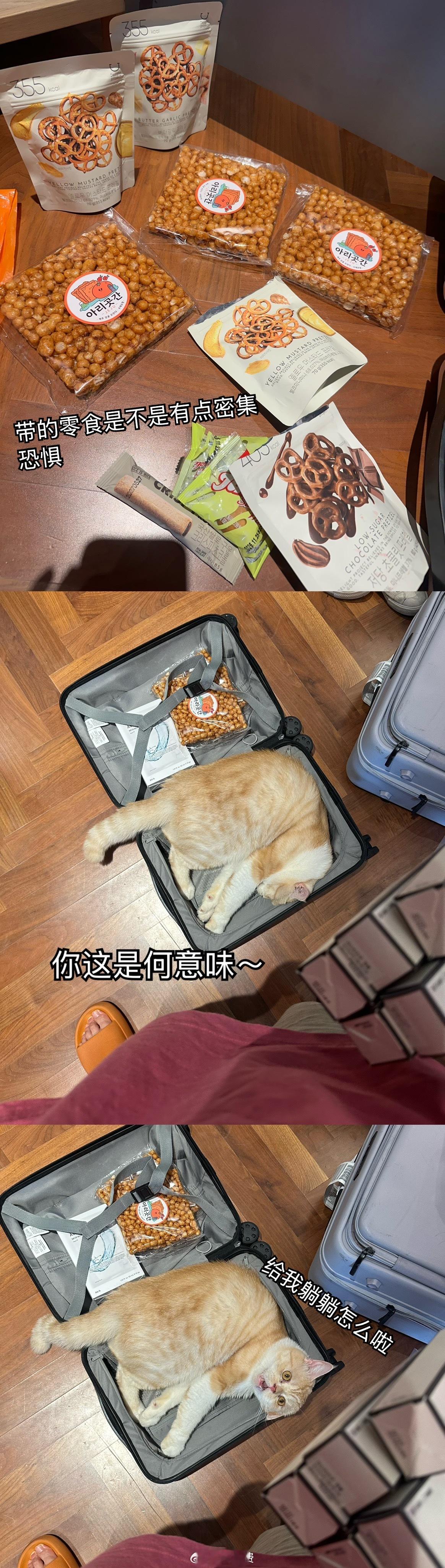 出去之后，回来感觉特别宅得住。应了那句古话：不出去旅游怎么知道家里这么舒服～第一