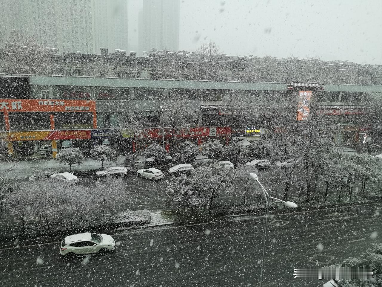 暴雪啊，大年初七！
先是雨，再是雨夹雪，然后纯雪，再然后就真的鹅毛大雪了。
挺长