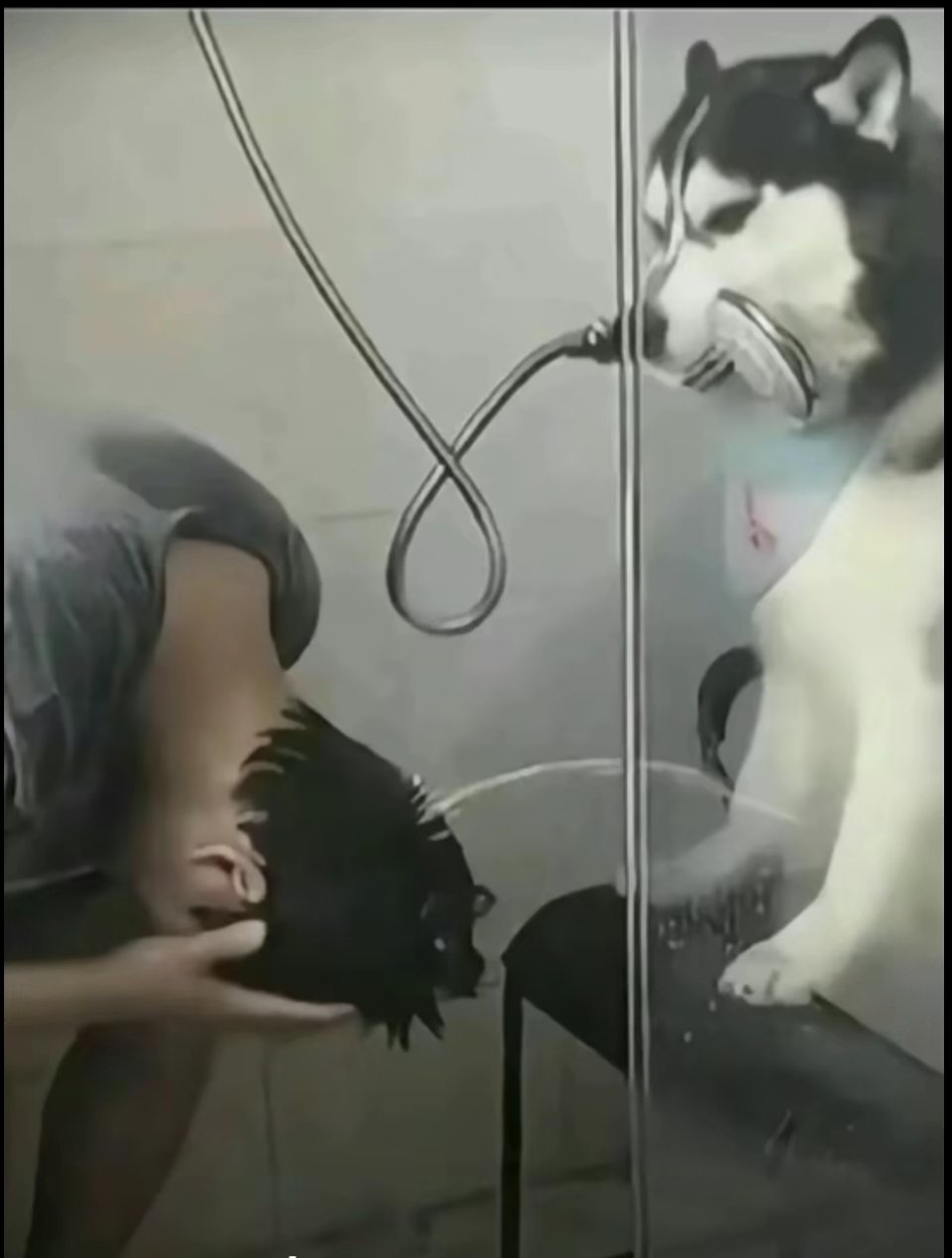 [月亮] ​​​