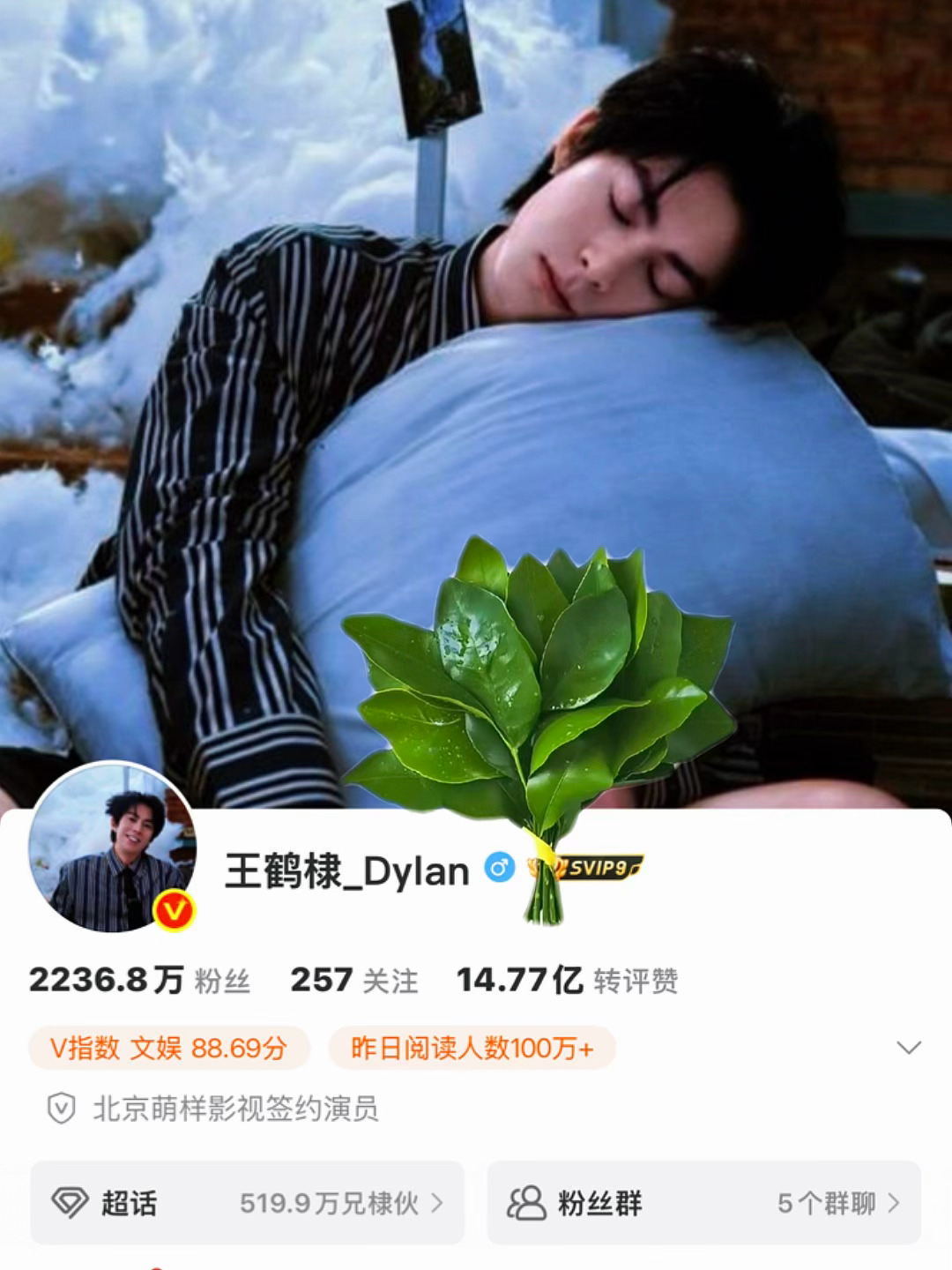 你们不要笑我，生气归生气，我转头去给家里娃娃买了柚子叶晦气远离娃衣[跪了] ​​