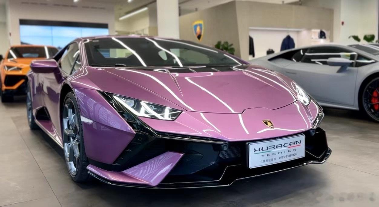 紫色的Tecnica 大V10  只限少数人的玩具 ​​​