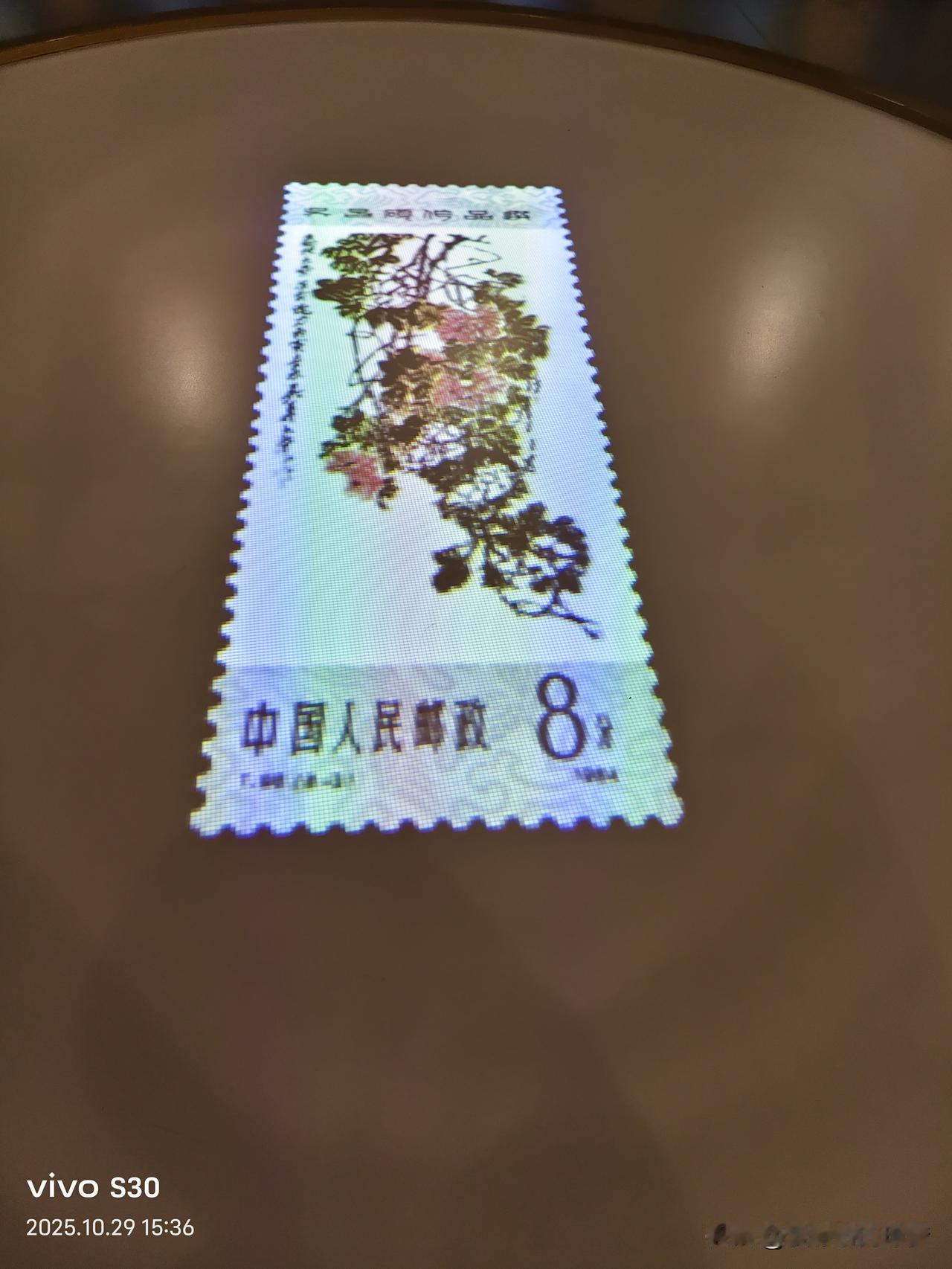 冬日生活打卡季