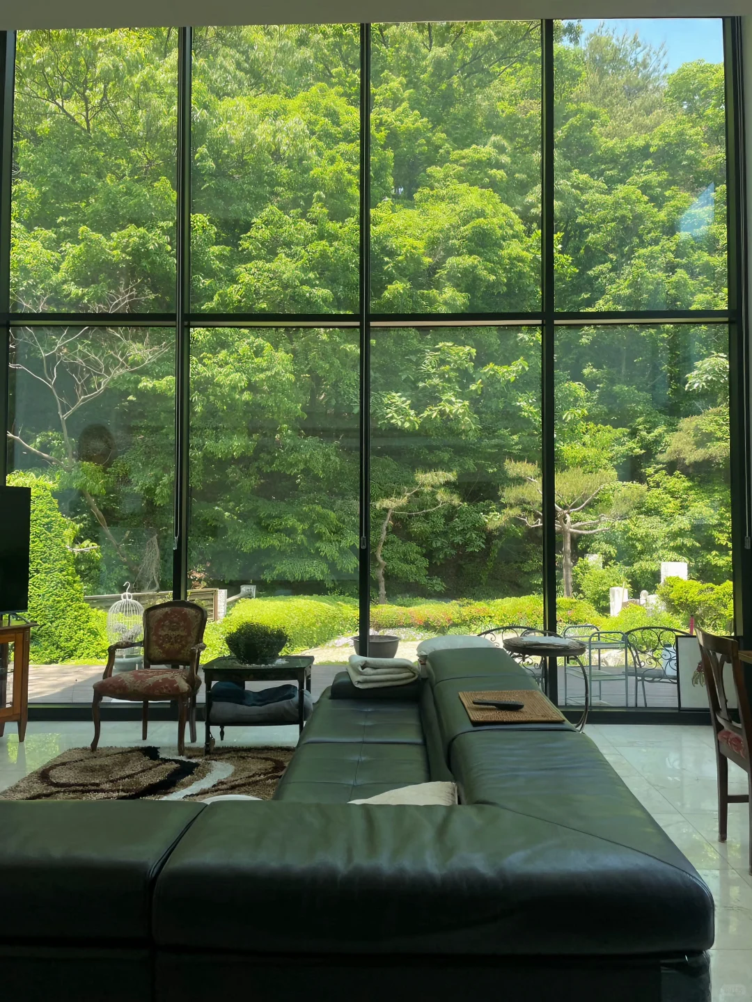 韩国京畿道🍃人生Airbnb！仿佛森林图书馆！