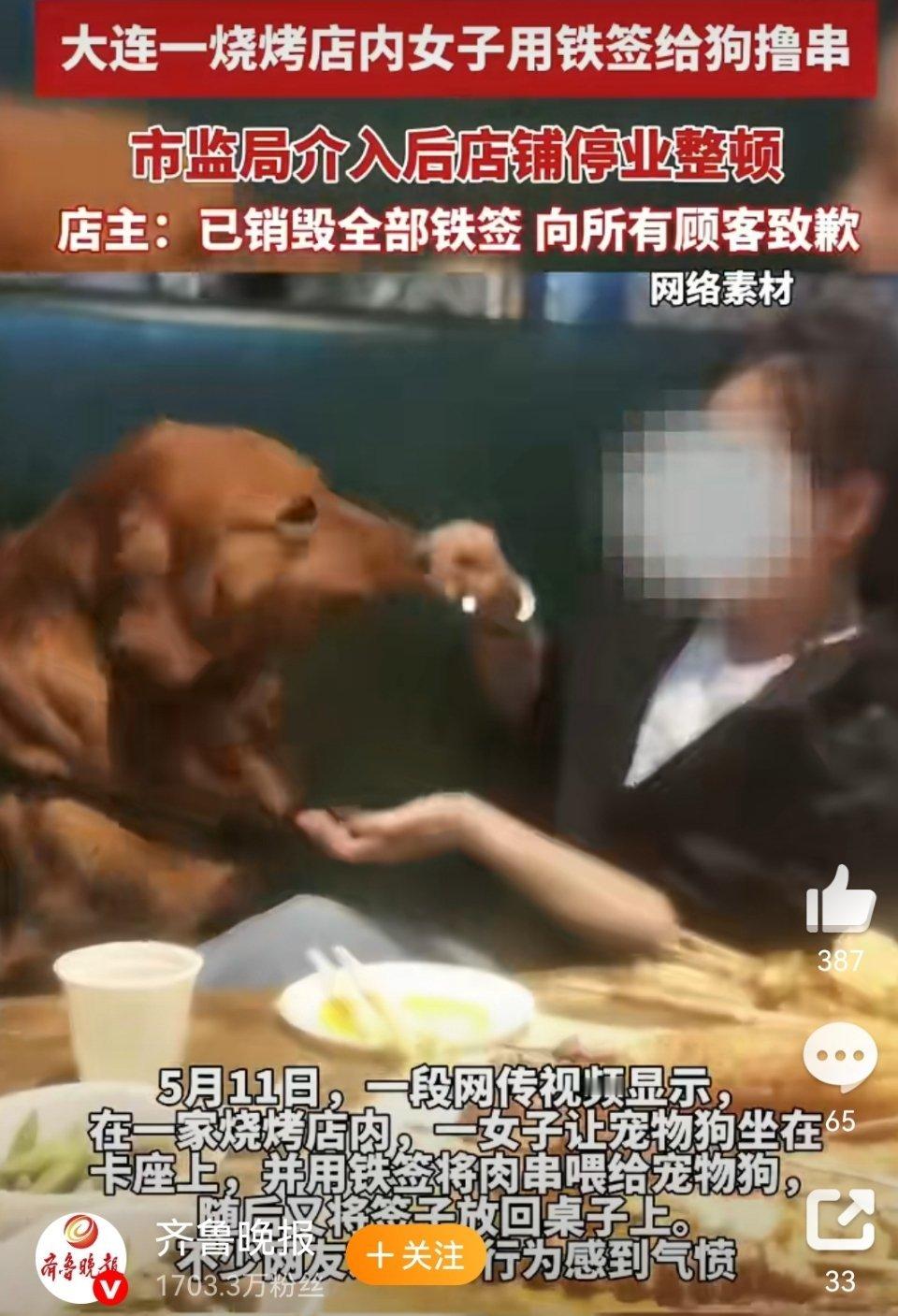 市监局回应女子用烧烤签喂狗事件为什么要允许宠物进店？这女子没素质，店家也不无辜。
