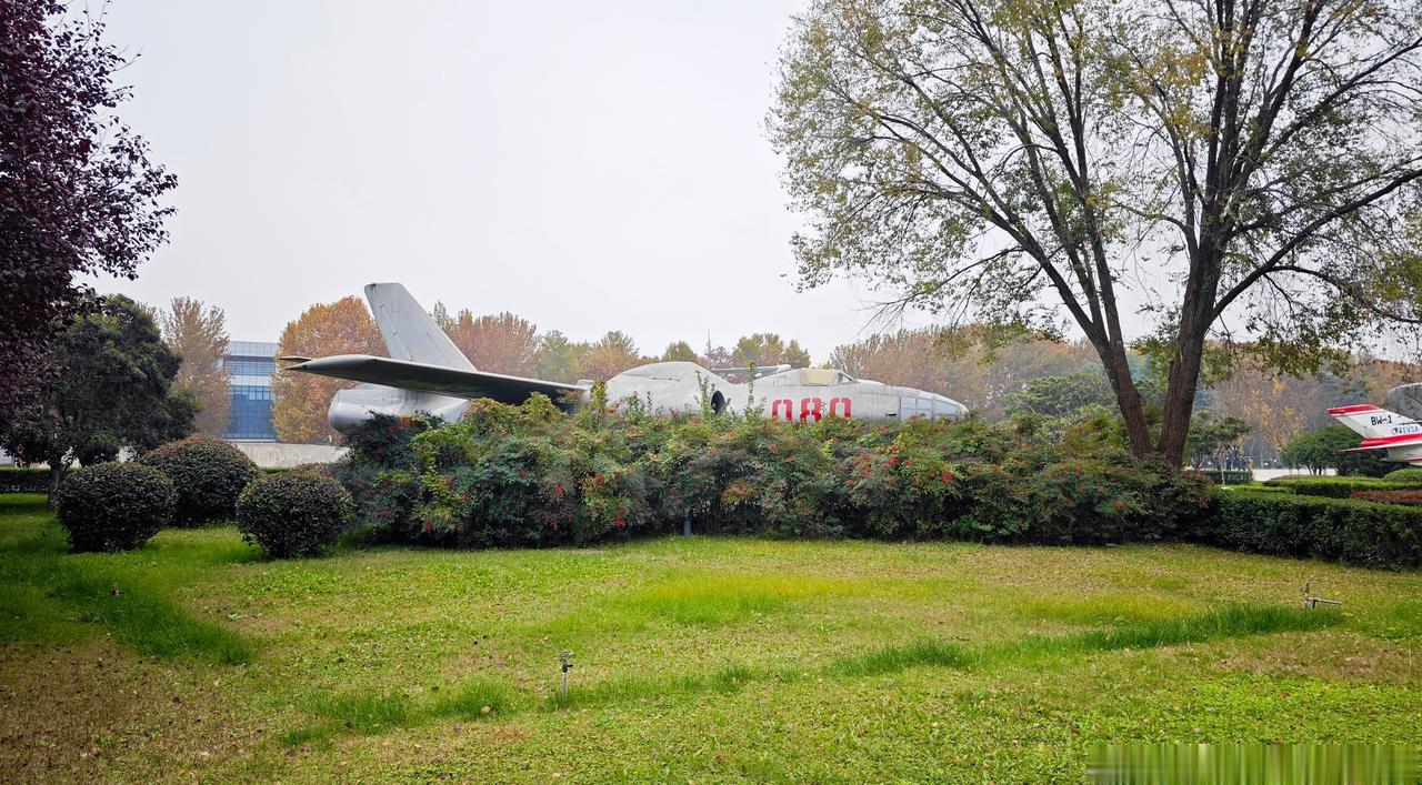 分享图片 ​​​