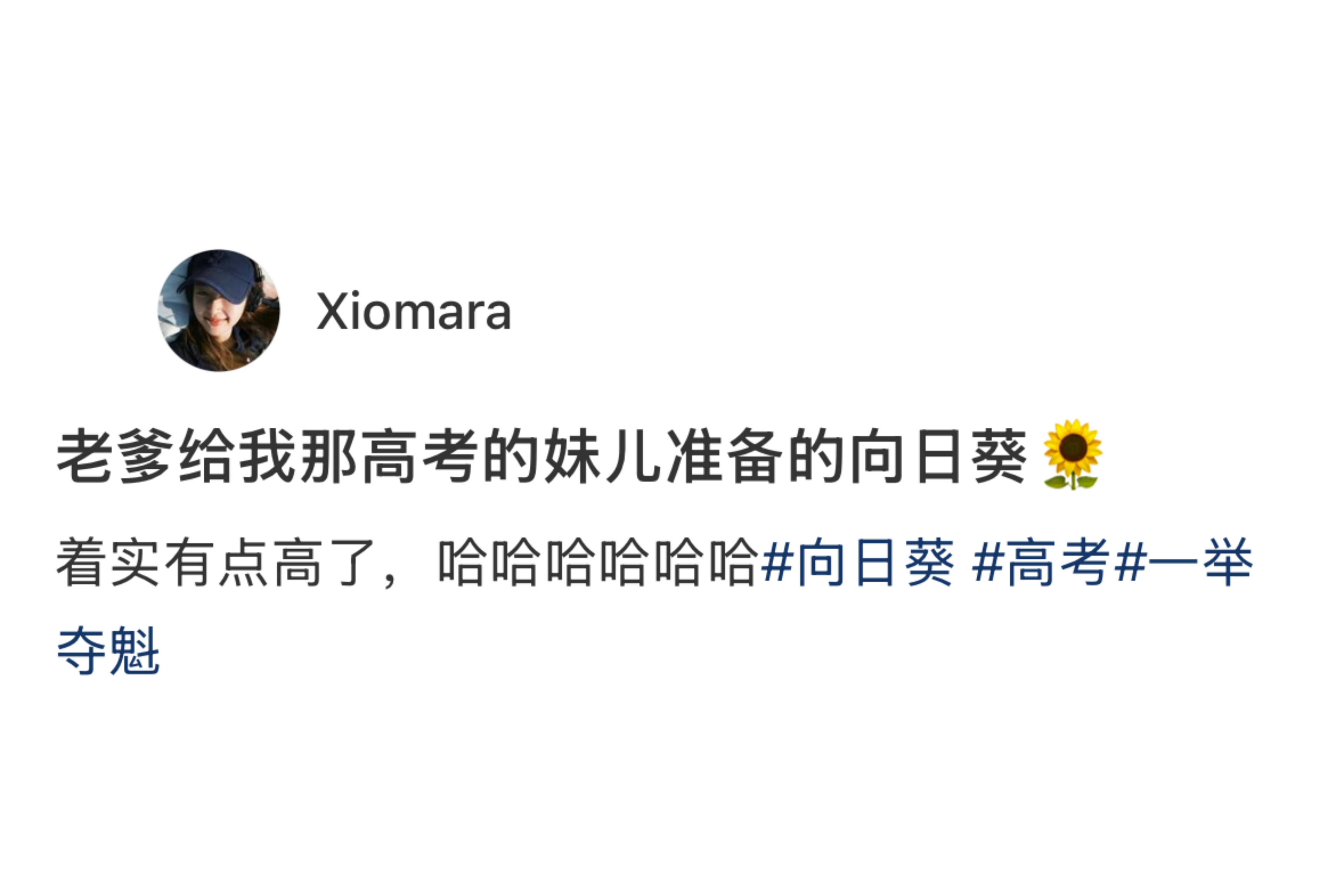 种出了顶天立地向日葵 
