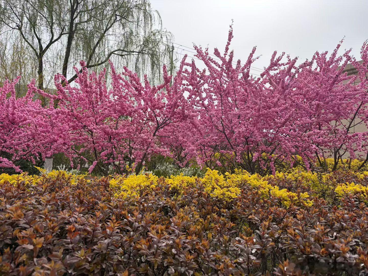 《写给未来的她》总能在街道、广场、或公园看到这样的场景：爸爸牵着小孩的一只手，妈