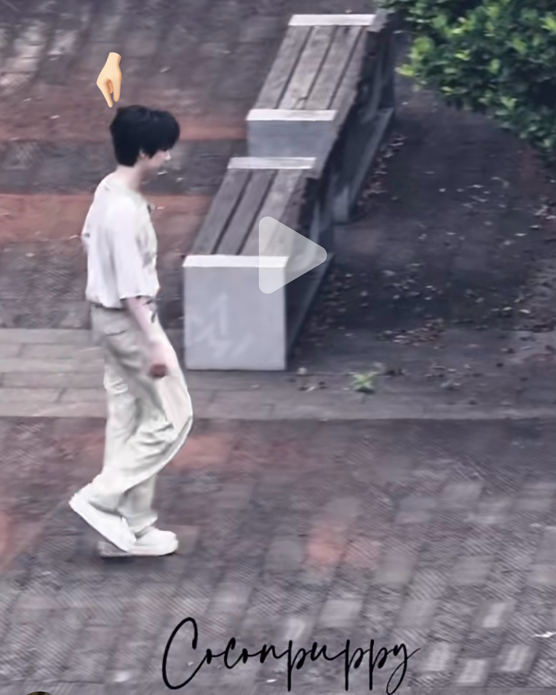 乖兔兔的一小撮呆毛
