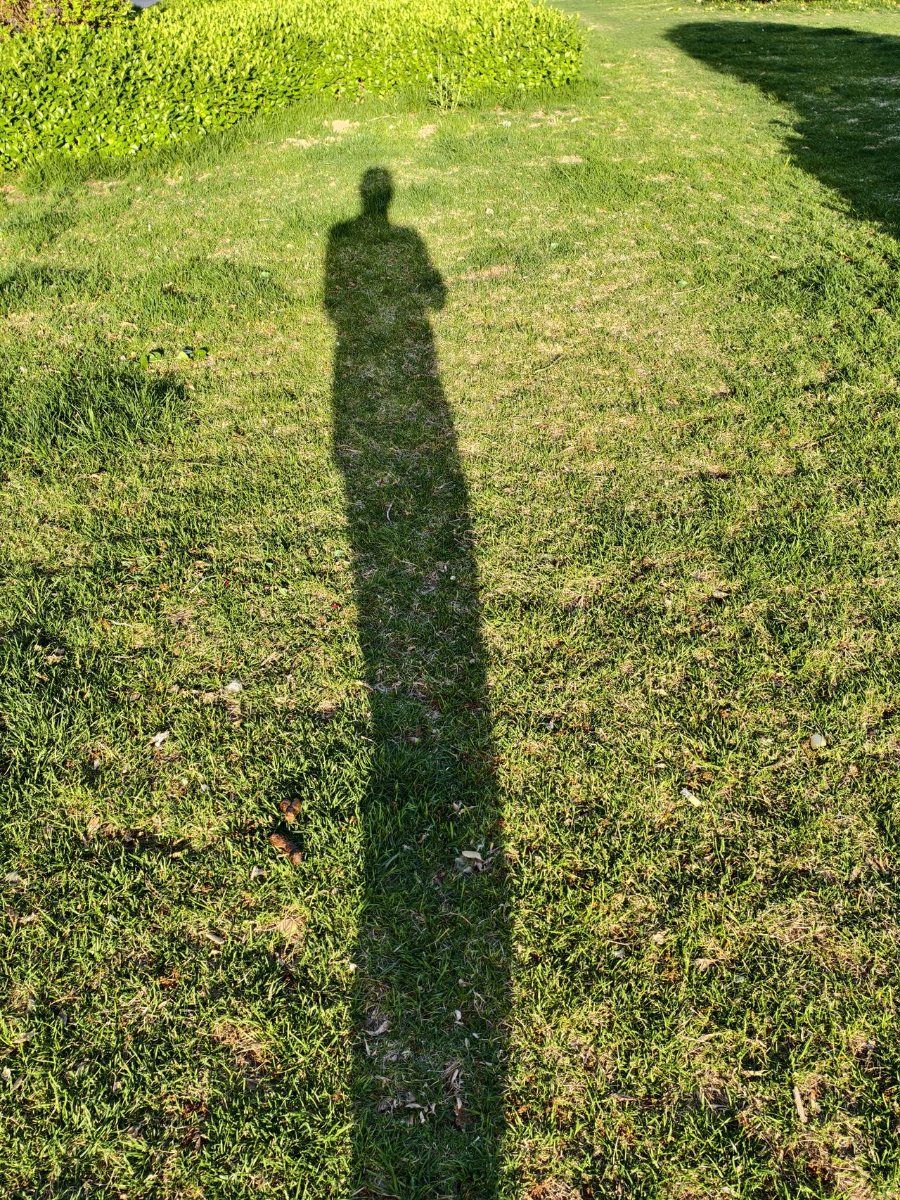 为我的真诚创作点赞！ 👍❤️🔥你也快来发布一条吧！带