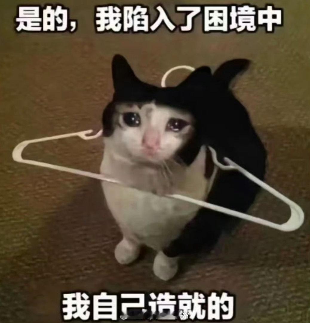 女儿追星全家低保没了这个事跟是不是她自己赚的没什么关系吧、低保应该给那种不能干活