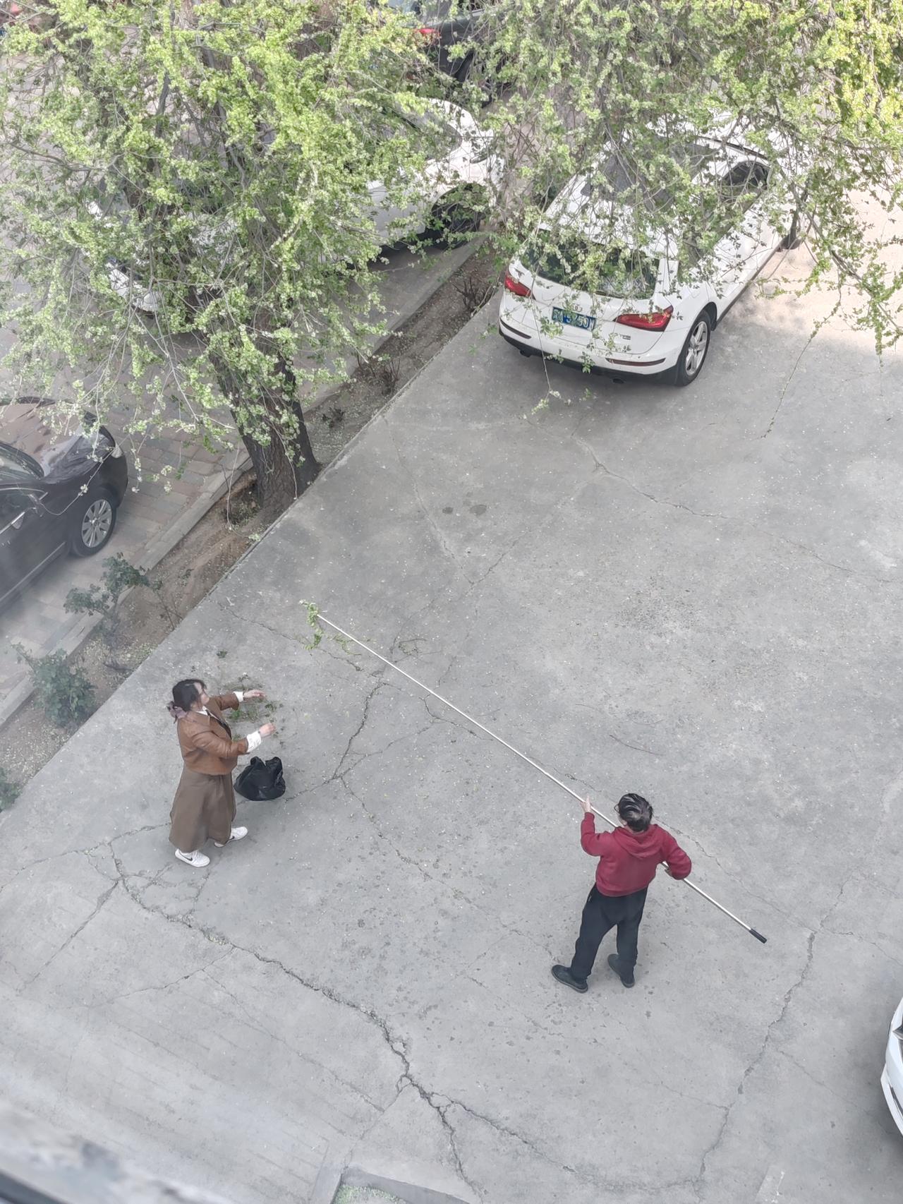 榆钱曾是小时候家中春季餐桌上的常客。过去吃它是为了果腹，如今品尝则是为了唤起回忆