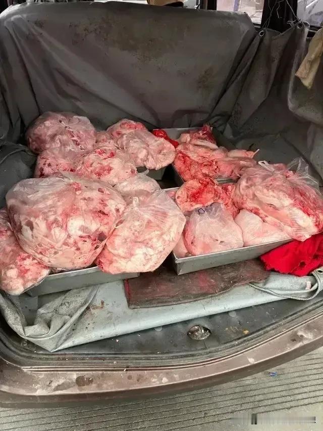 我刚从菜市场出来，因为人有三急，所以绕到了菜市场后面的厕所如厕，然后我就看到这一