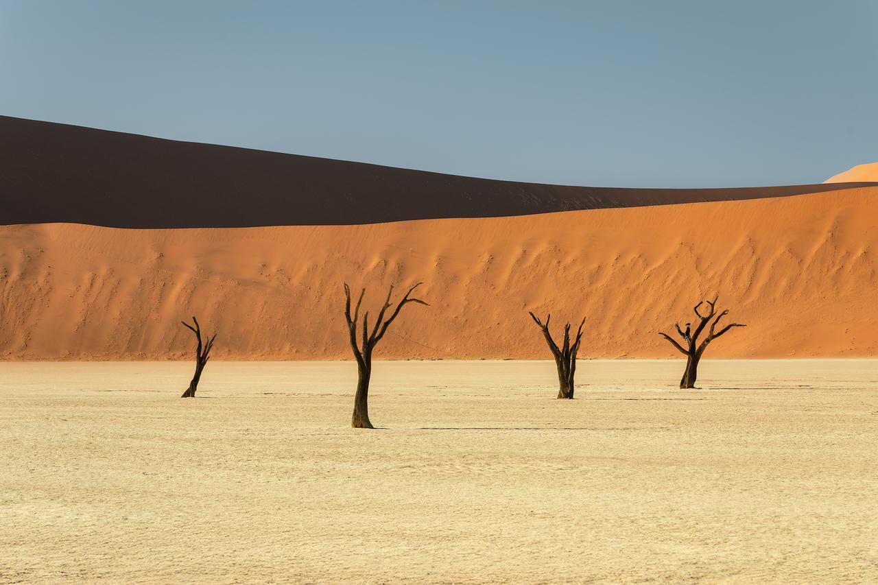 Deadvlei，生命退场后，才是最极致的壮阔。
四棵树，一片沙，极简的构图足够