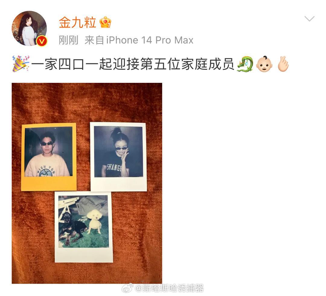看到金靖的微博还纳闷姐是不是怀孕了，那就恭喜啦～#金靖是不是怀孕了##金靖 怀孕