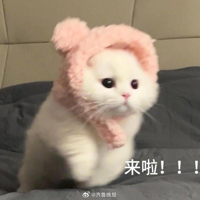 你可爱一点，生活就可爱一点。#晚安# ​​​