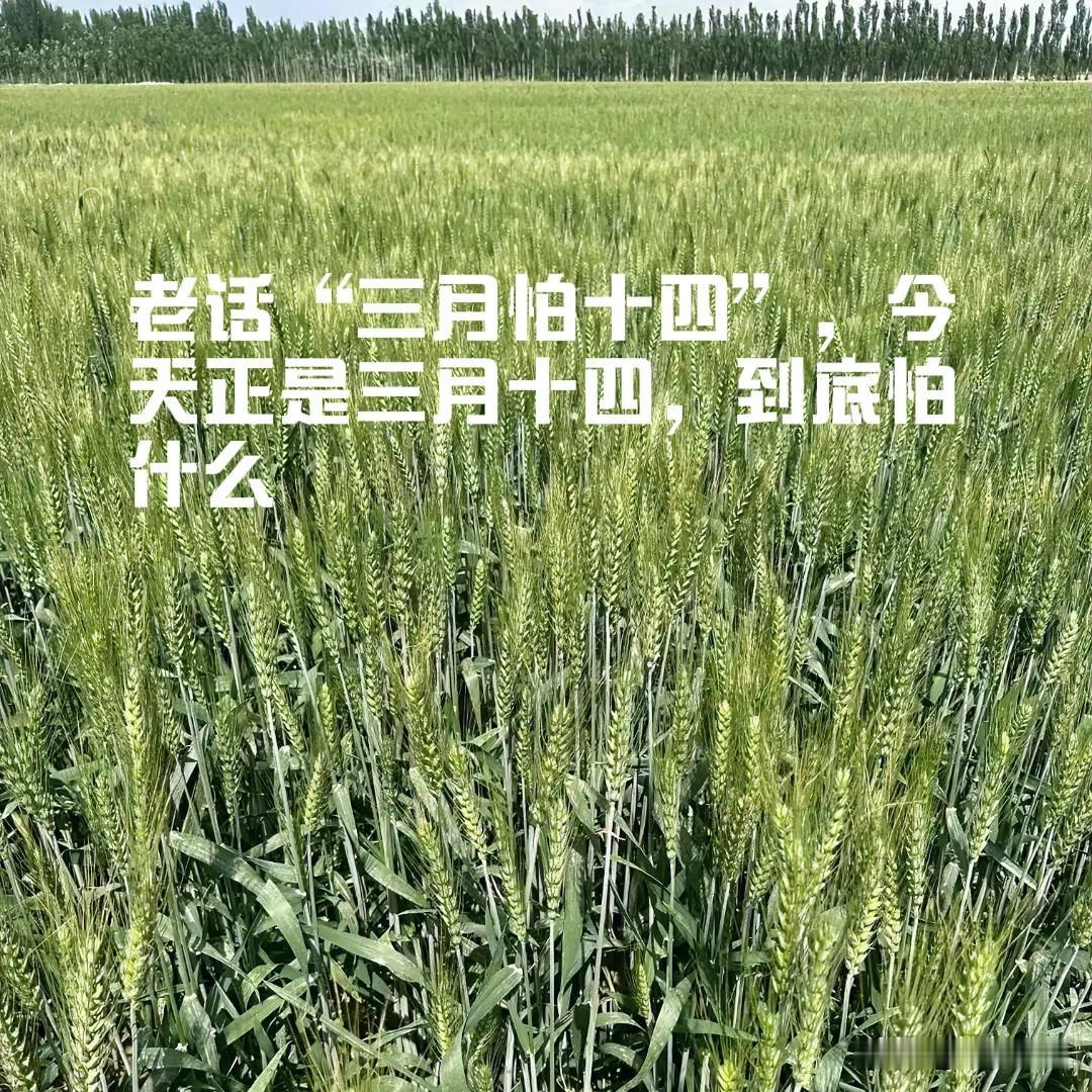 老话“三月怕十四”，今天正是三月十四，到底怕什么？老祖宗的经验太实在
 



