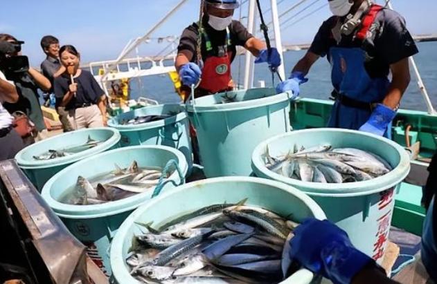 当初日本把核污水往海里倒，全球骂声一片，连海鲜都没人碰，可两年过去，不但日本海鲜