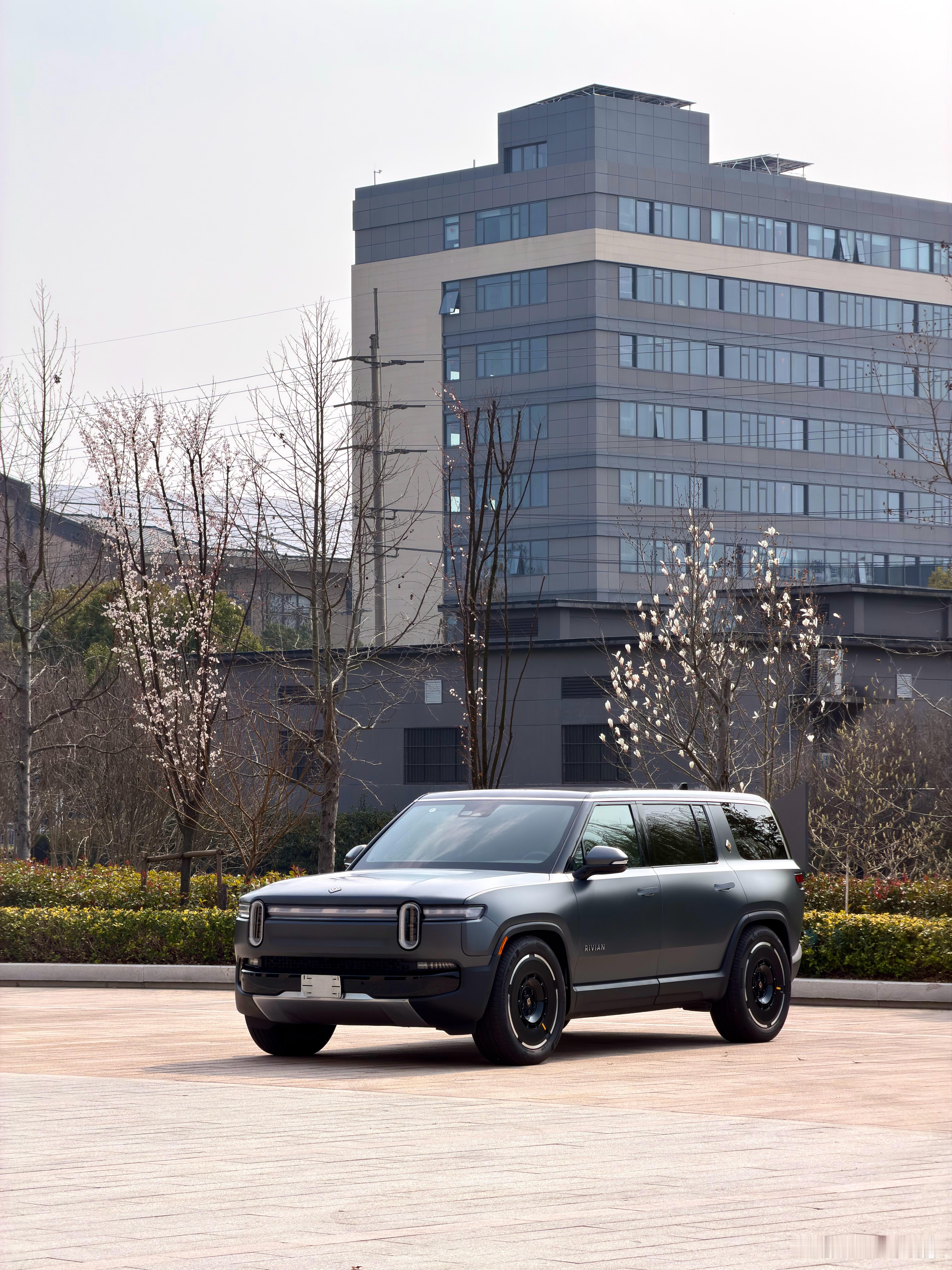 不要在春天失去发芽的心🌱 上海