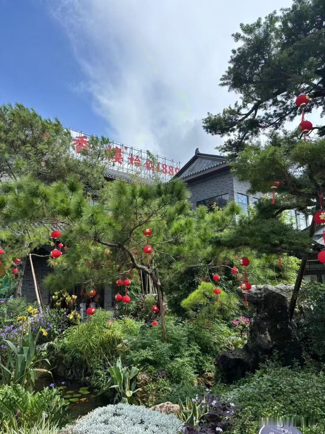 随手拍的风景照