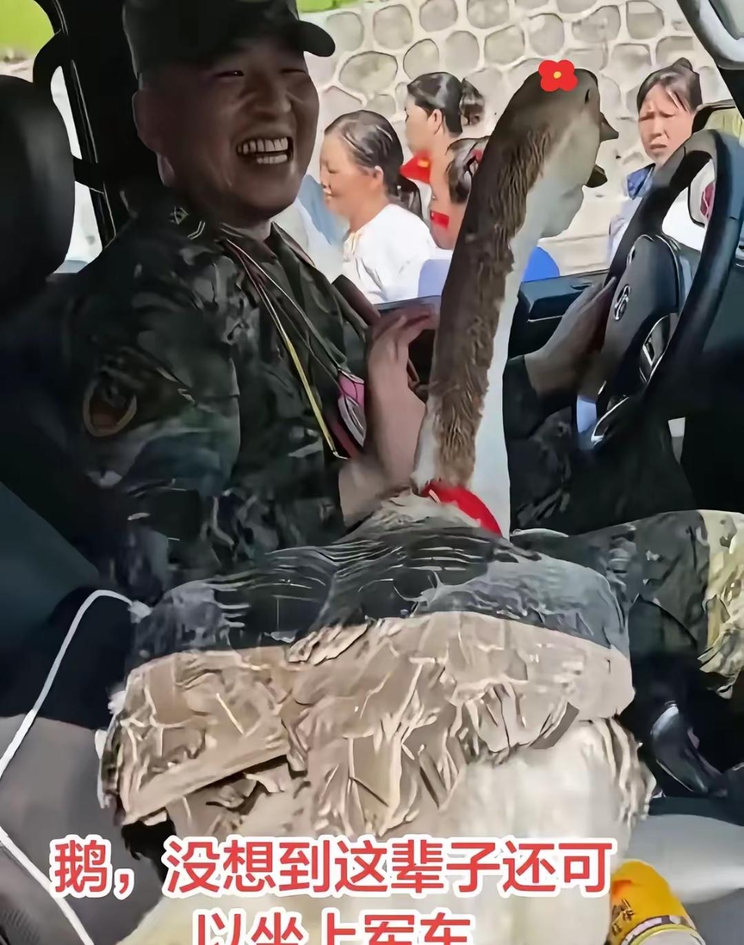 洪水退了，兵哥要走。贵港一位阿婆抱着大肥鹅，腿上绑着红绳，死活往车上塞。战士摆手