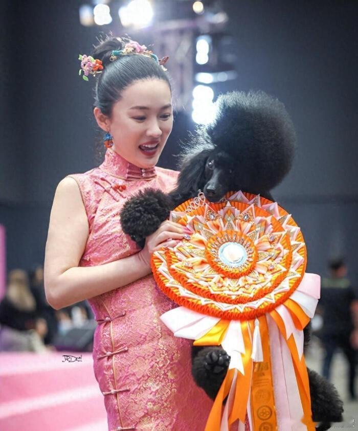 霍思燕谈赛场穿旗袍的原因霍思燕带着爱犬参赛一身旗袍格外亮眼，直播也聊起穿搭初衷。