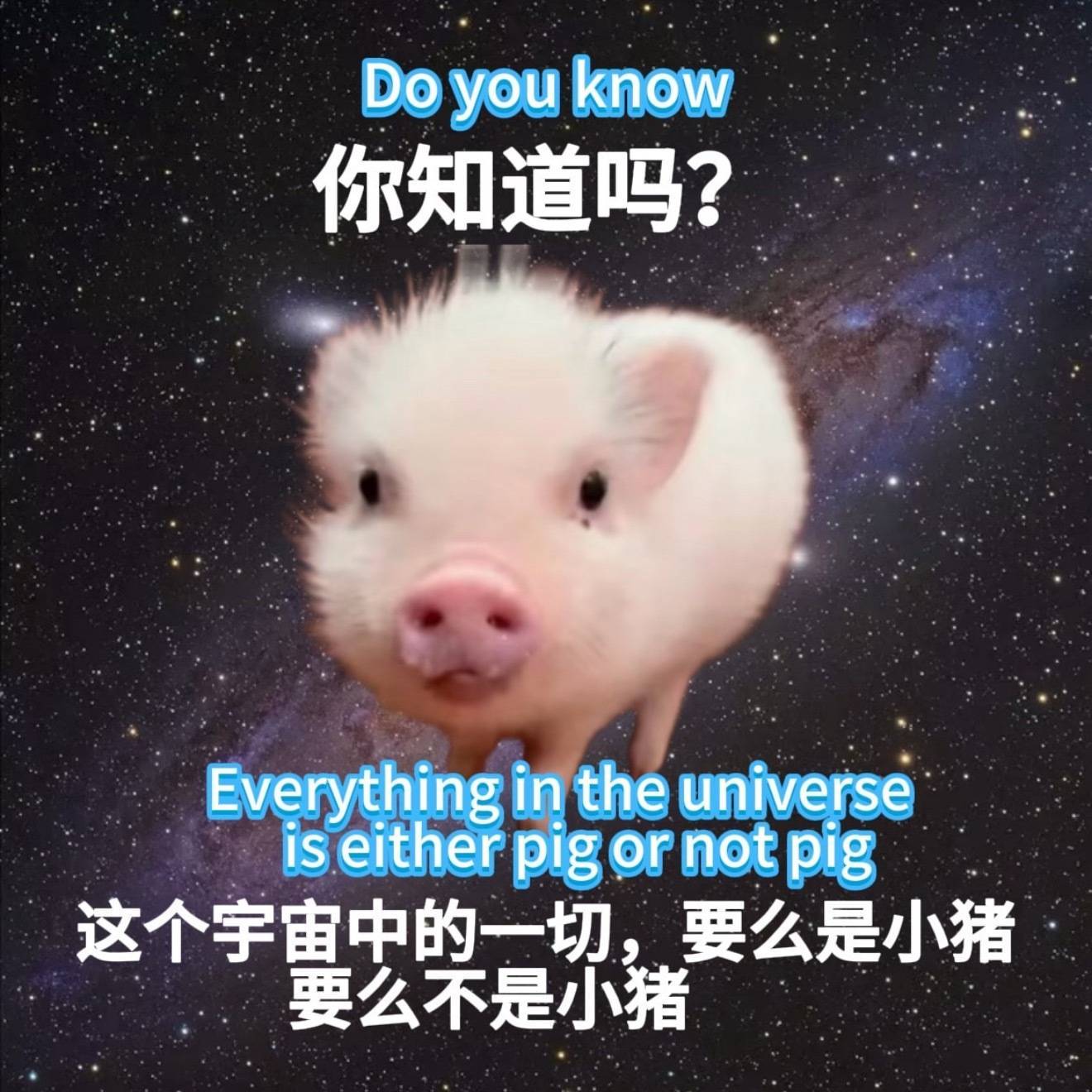 这个宇宙中的一切要么是鞠婧祎 要么不是鞠婧祎所以鞠婧祎是小🐷 