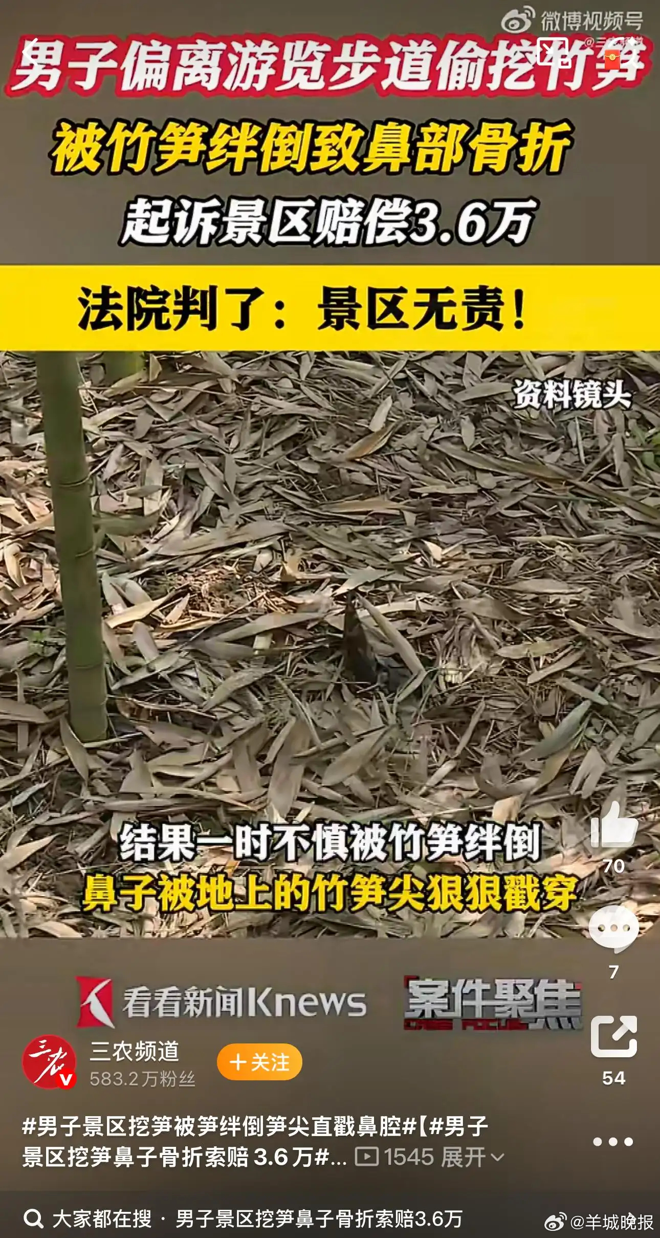 【鼻子戳破了，挖笋的男人还是未能顿悟 | #街谈巷议#】世界之大，无奇不有。话说