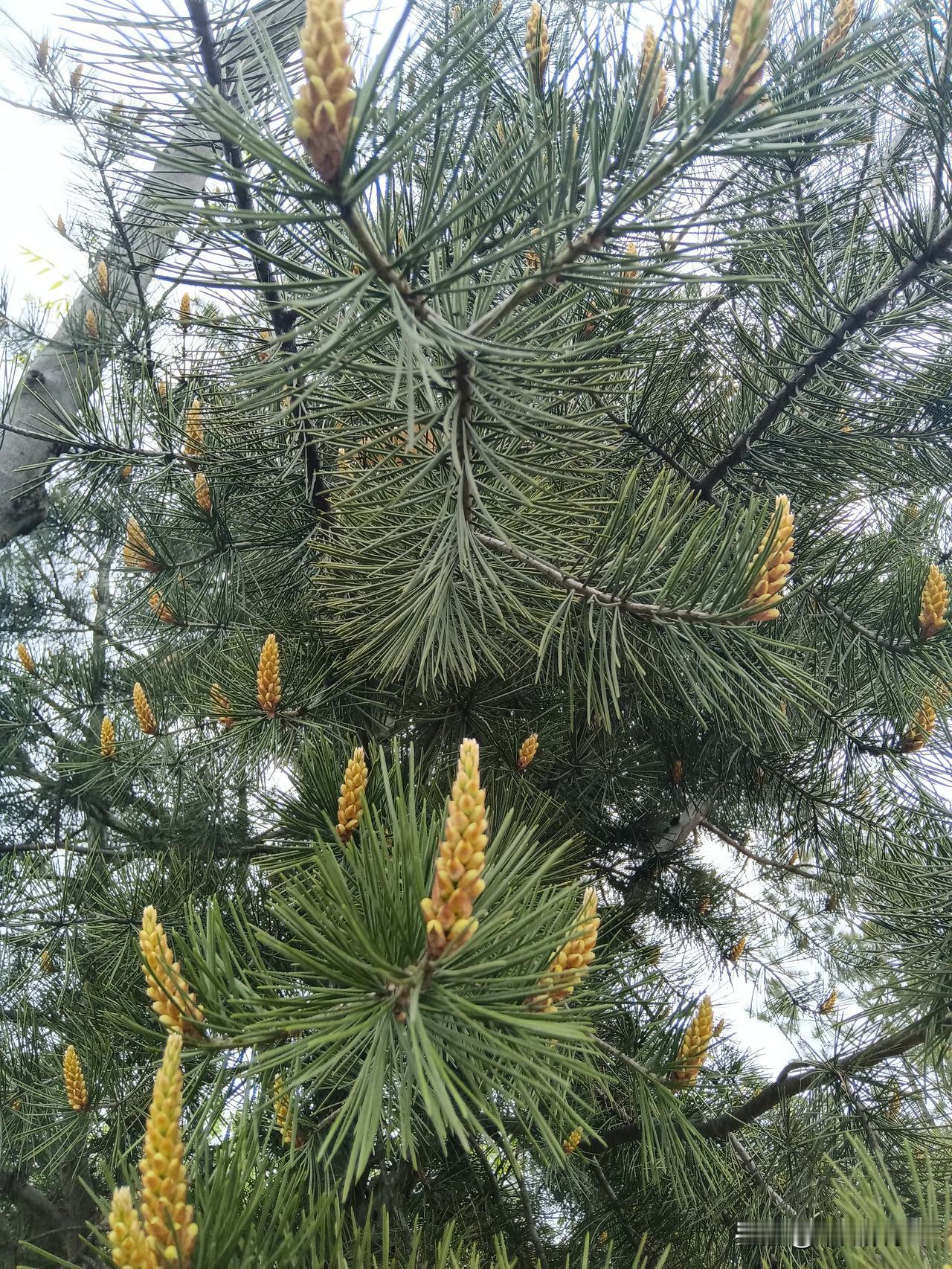 有多少钱，可以自由？

对于普通人来说，辛辛苦苦打工一辈子，都赚不到500万！