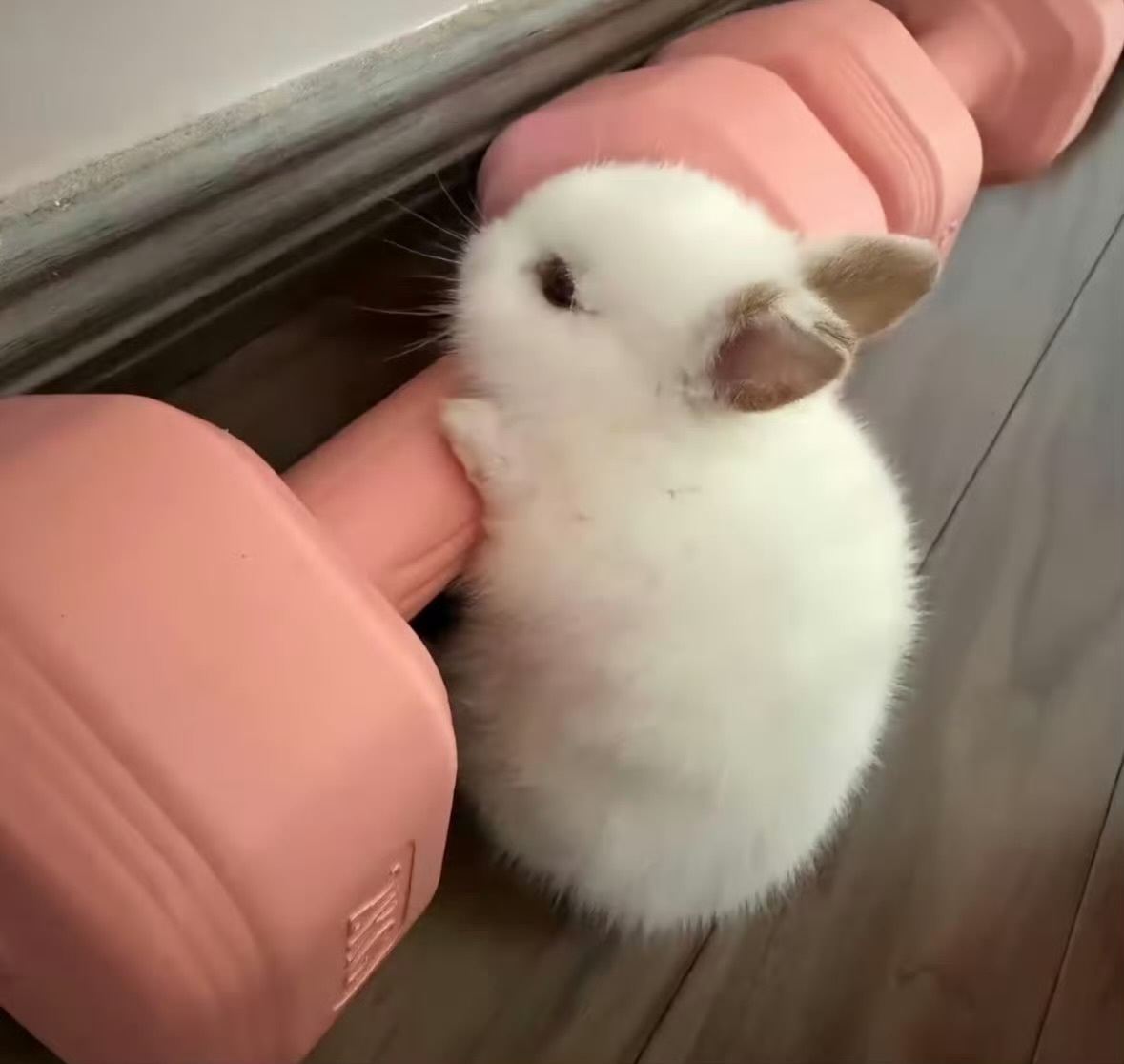 圈圈🥰 