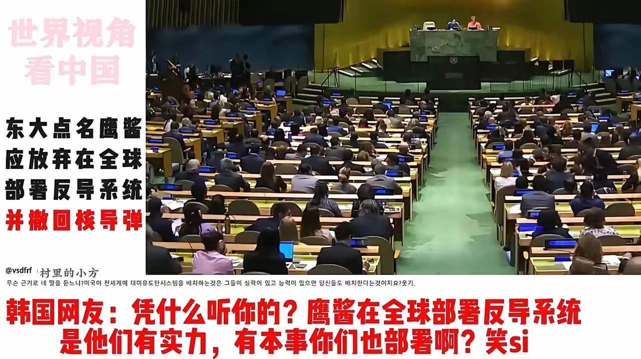 关于在中国要求美国在全球撤回反导系统和核武器这个问题上，除了韩国网友一如既往的嘴