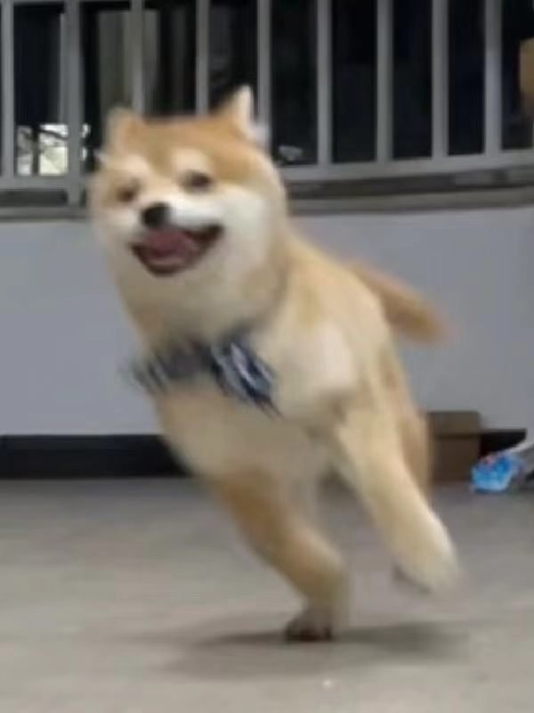 迪丽热巴 我就这样美美奔赴端午假期，幸福快乐的假期我来啦！🥰大家假期都有什么安