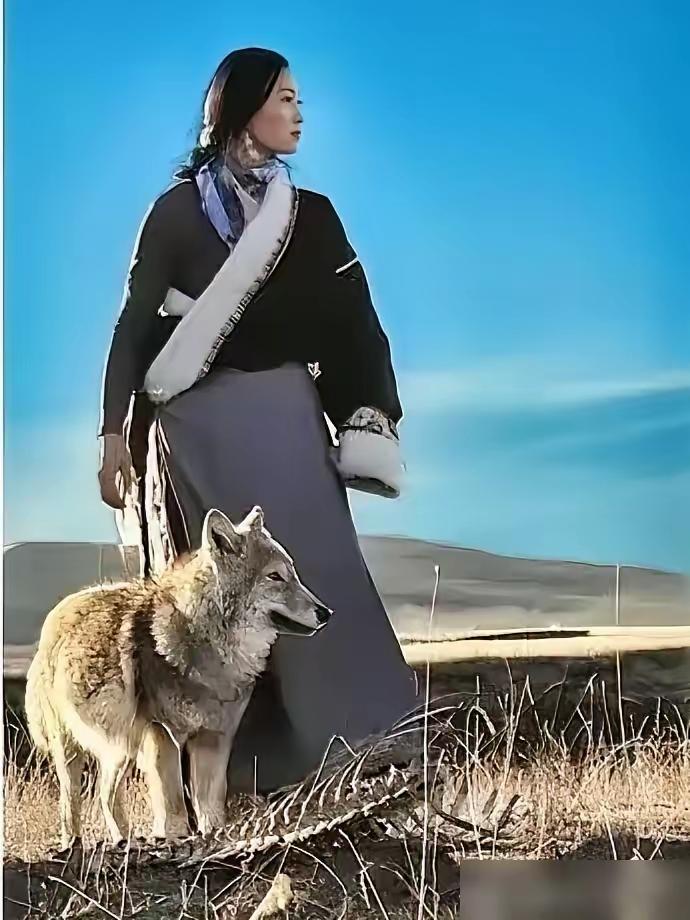 3295万票房，这个女人全浪费了。

导演李微漪把重返狼群赚的钱，一笔笔都投回了