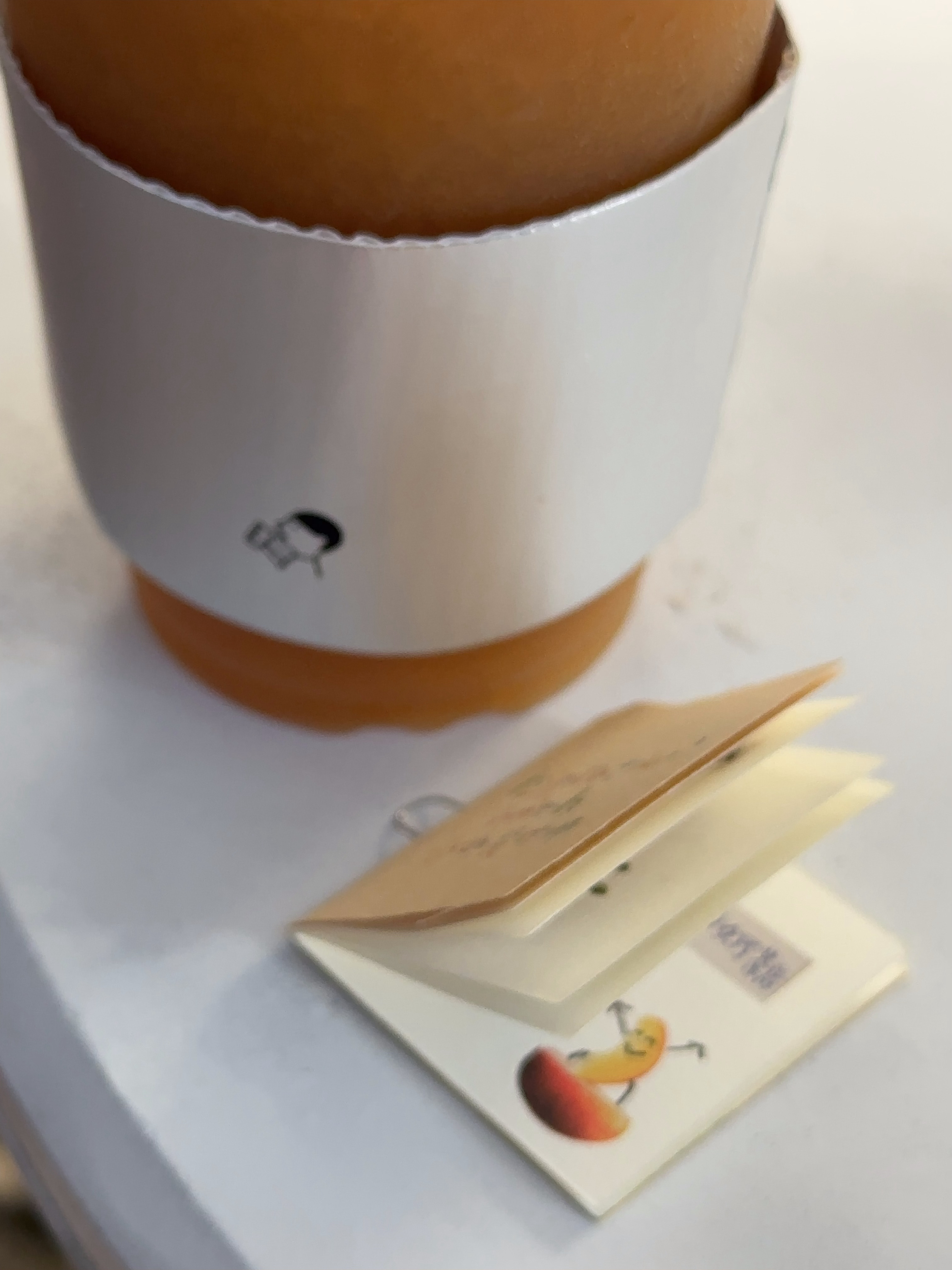 跑来奥特莱斯喝杯喜茶～送了一本小册子，好治愈～五点的阳光看上去温柔极了，不热的秋