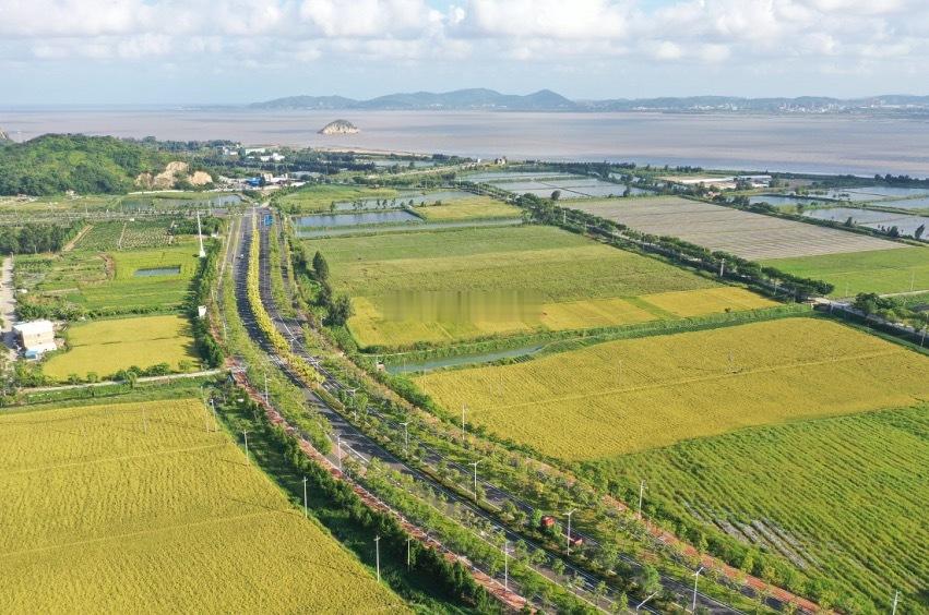 集美大学 福州琅岐岛中试基地项目已拿58亩地，并计划于6月底前动工该中试基地项目