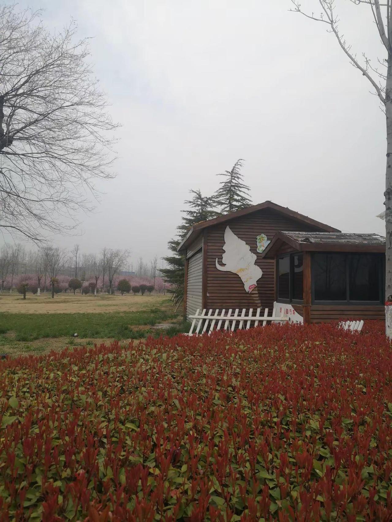 玩法合伙人计划 情绪音乐玩法新风向