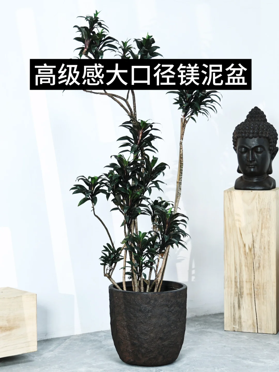 后悔没早点买它！!