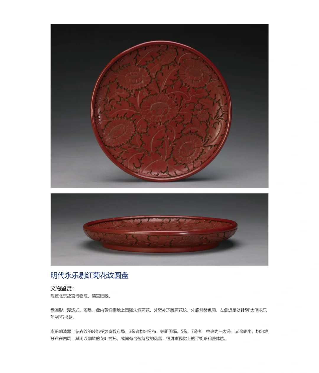 明剔红菊花纹圆盘图案