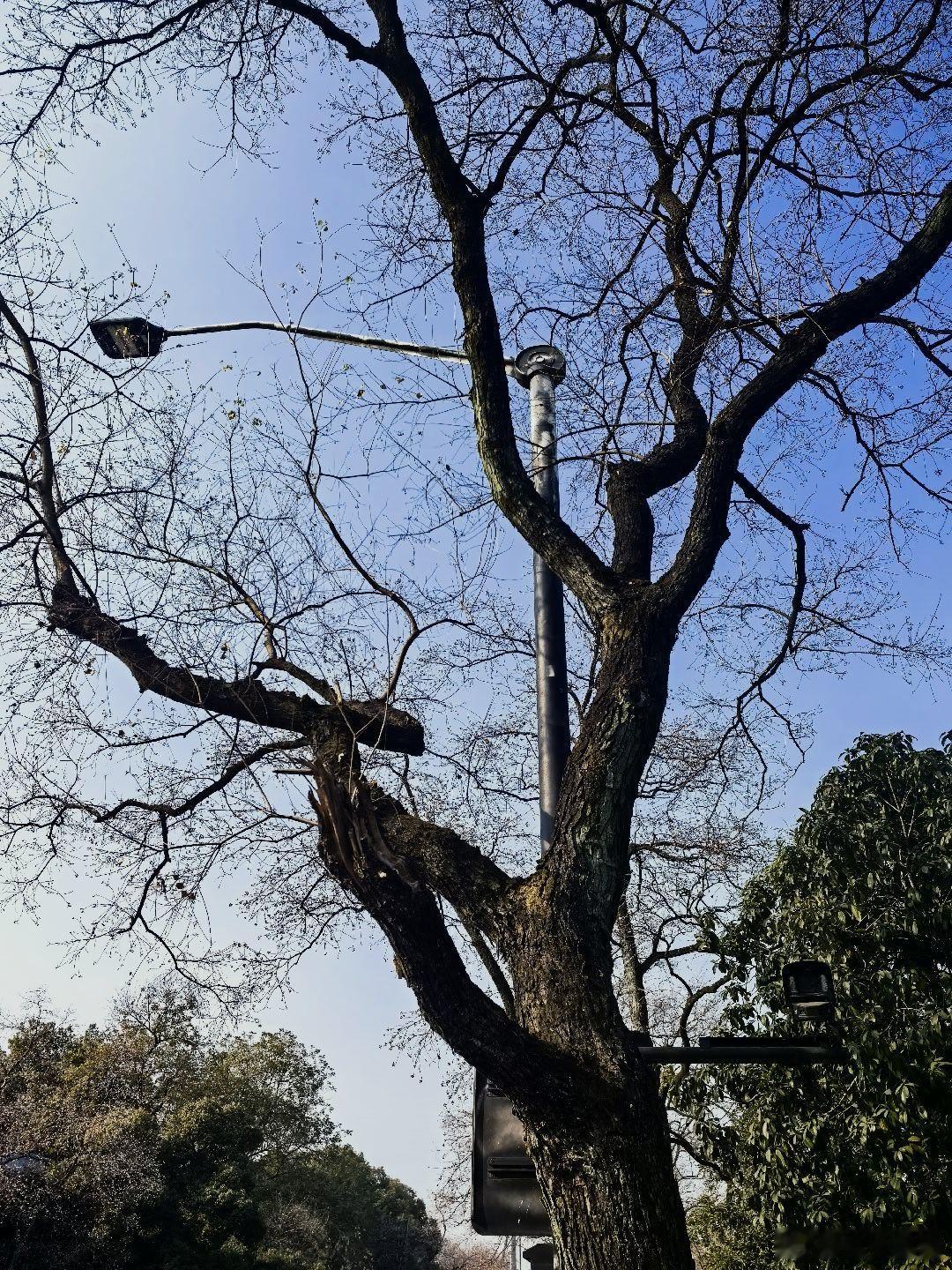 新壁纸  早安！ 