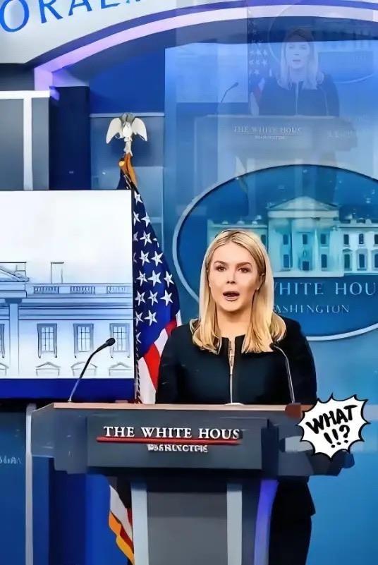 美国被中国再度拒绝了，美国官员很沮丧！ 白宫负责AI与加密货币事务的官员萨克斯曾