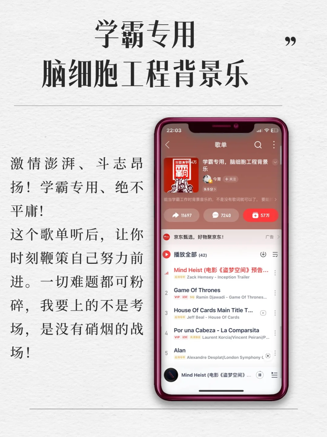 学霸专用歌单！刷题看书专用🎓学生党必备