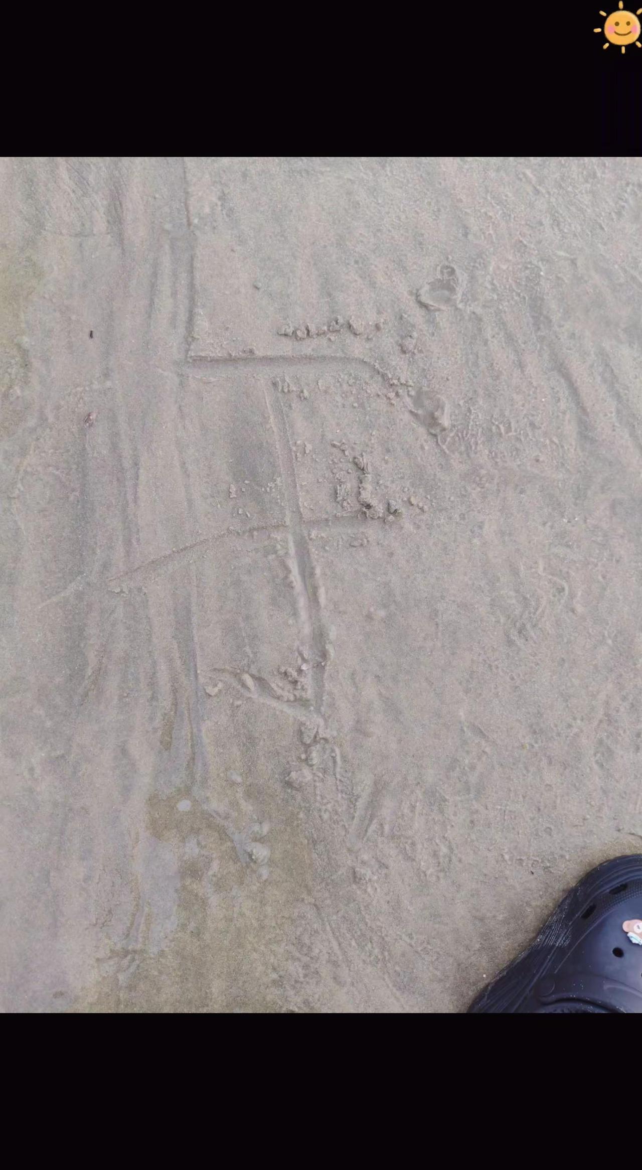 感受夏日的热浪与海风