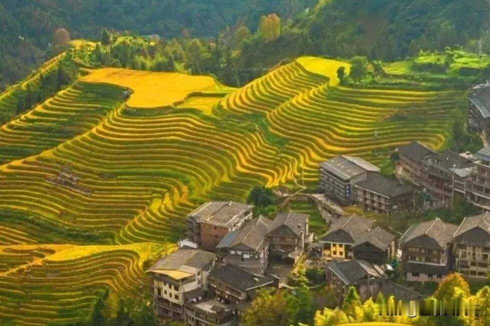藏在水底，真能躲开子弹吗？
在好多影视或者文学作品里，咱们常常能瞧见一些让人惊掉