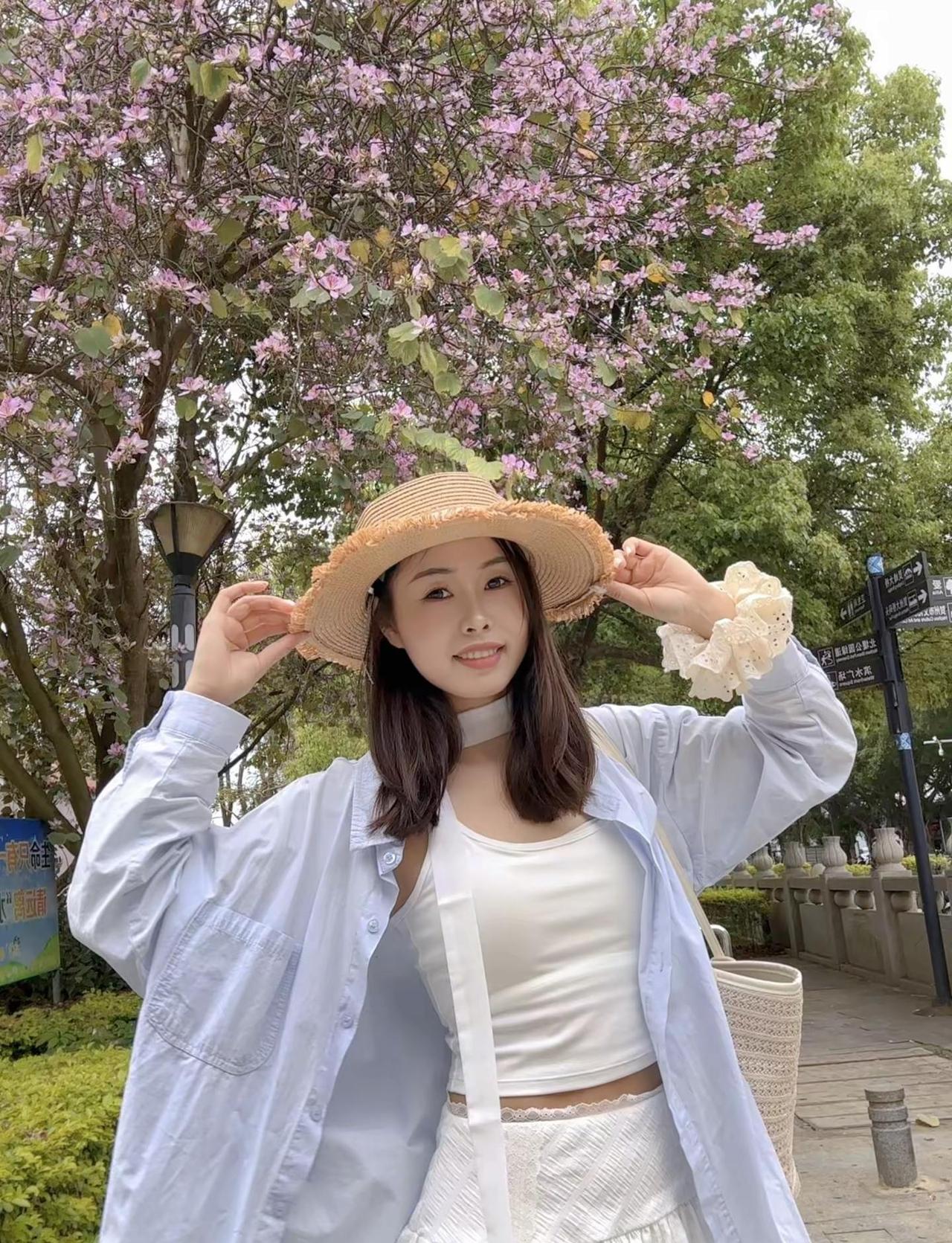 快乐来信紫荆花盛开