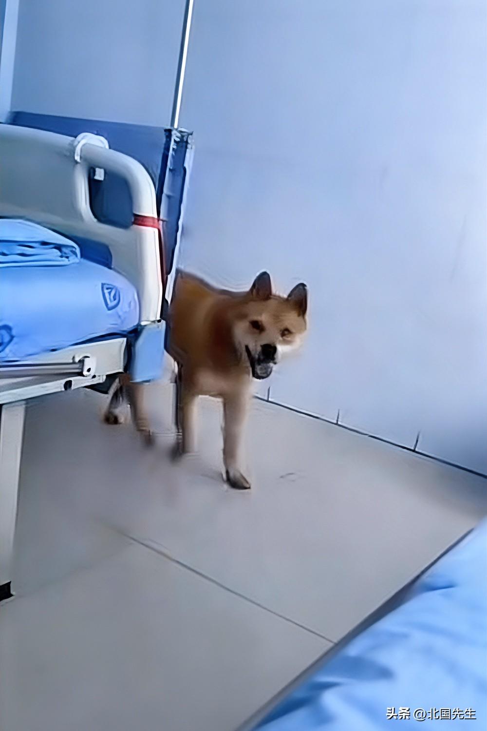 一名男子因病住院，
在他期盼家人探望时，
医生告知“家里来人了”，
他抬头却发现