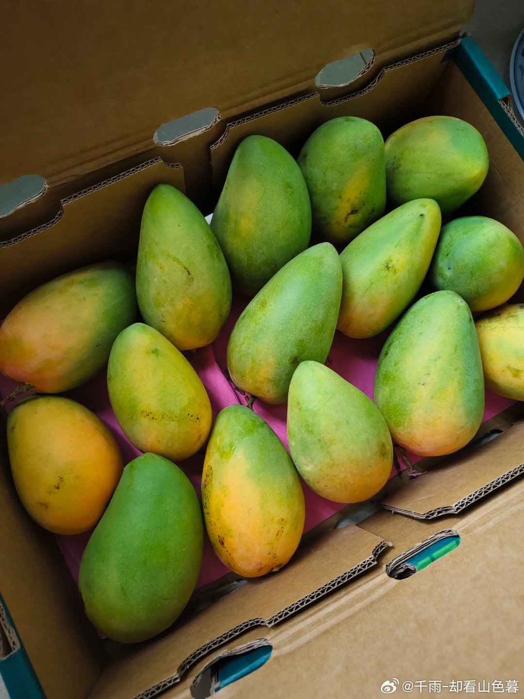 🥭生活手记 放了四天还没熟 能看不能吃